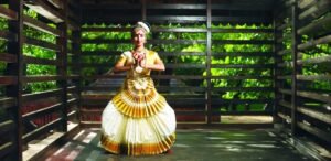 Explore the Golden Chariot: Signature Routes and Destinations Unveiled